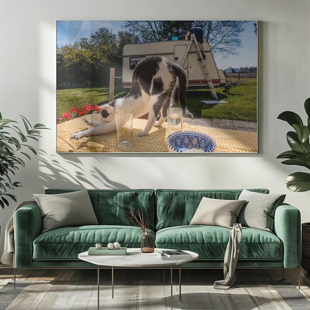 Simular poses... | Impresiones en Lienzo