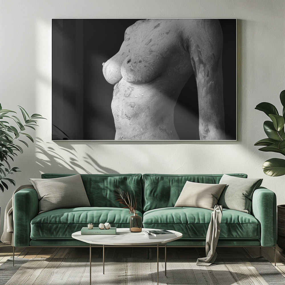 Belleza aberrante | Impresiones en Lienzo