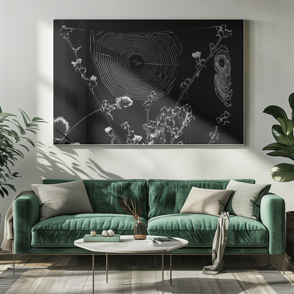 Spinnennetze | Leinwand-Bilder