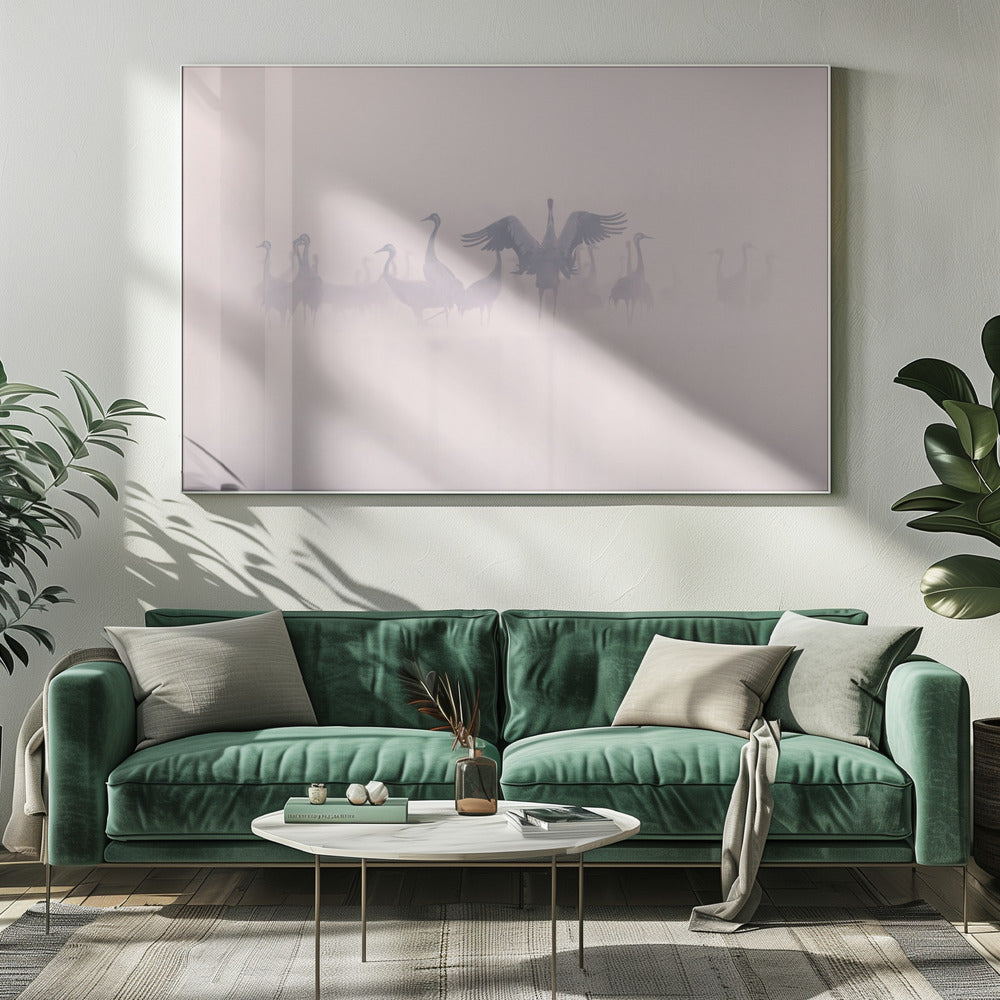Kraniche im Morgennebel | Leinwand-Bilder