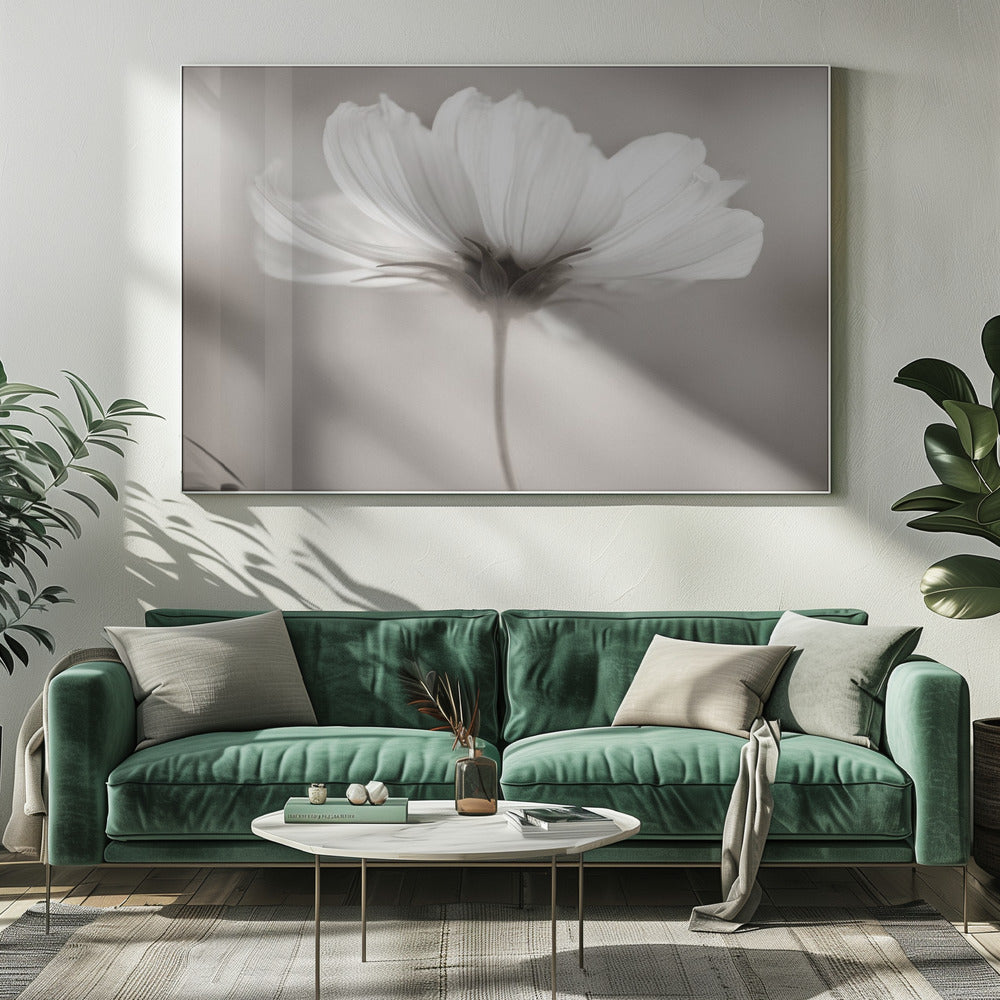 Cosmos | Impresiones en Lienzo