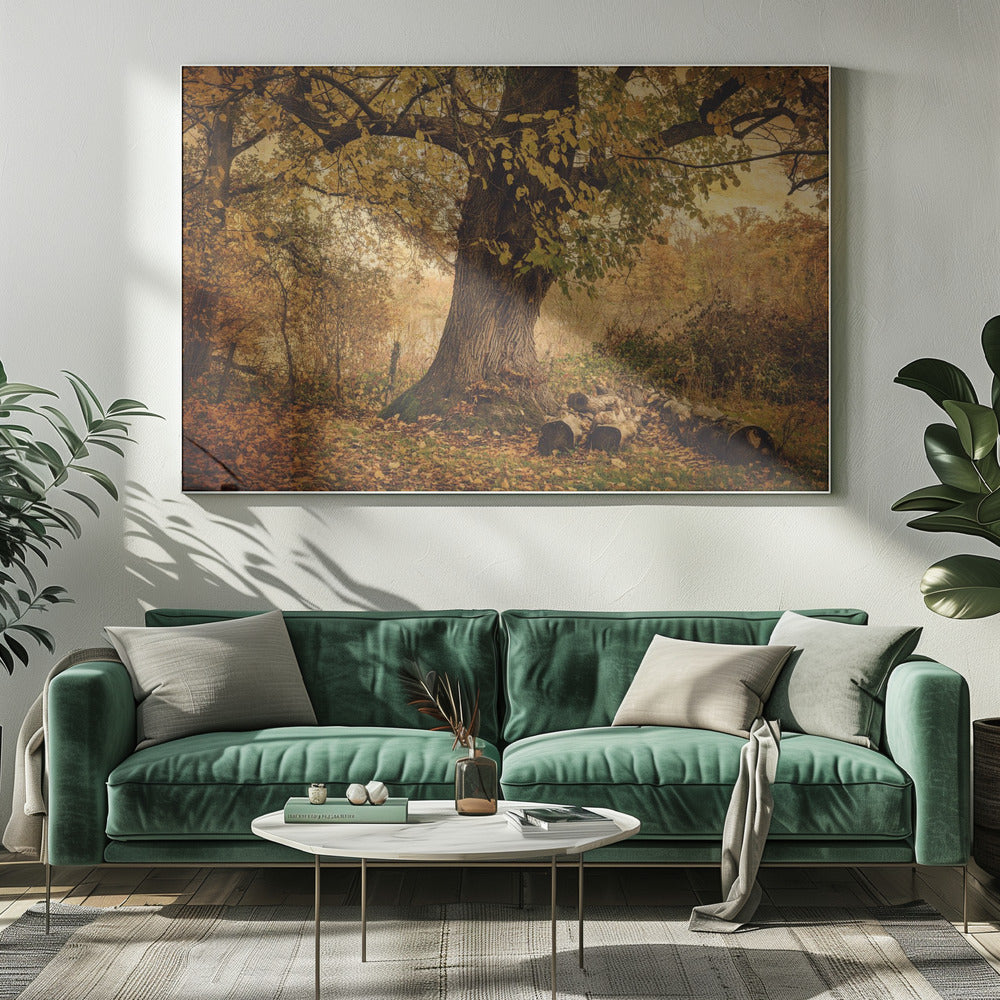 Old tree | Canvas