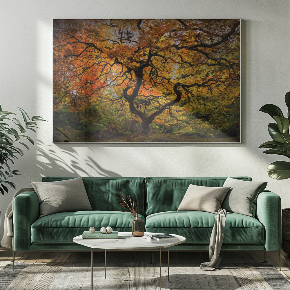 The maple Tree | Canvas