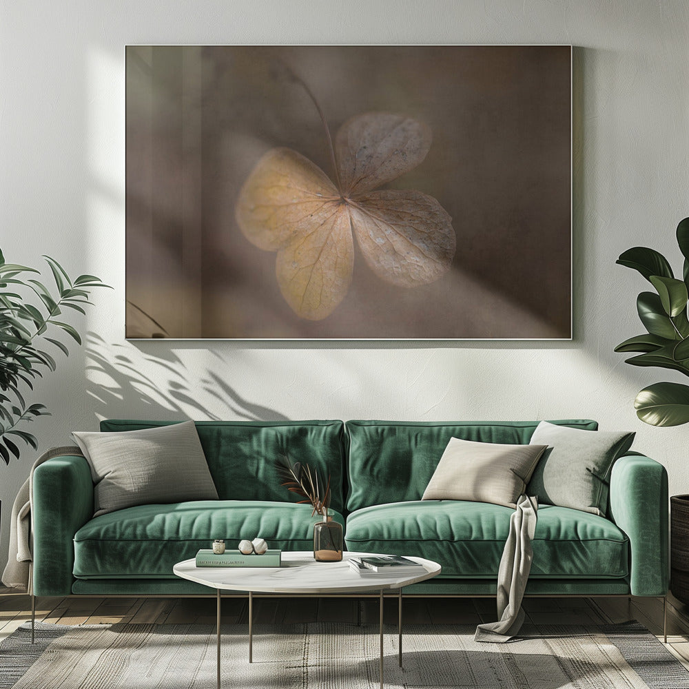remains of the day | Canvas