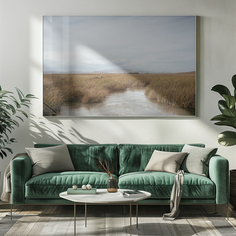 Marshland No.1 | Canvas