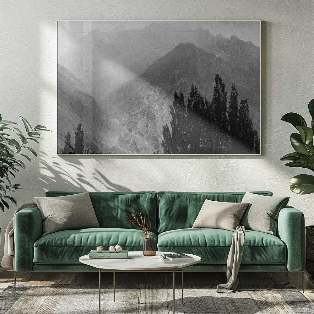 Trees in the mountains | Canvas
