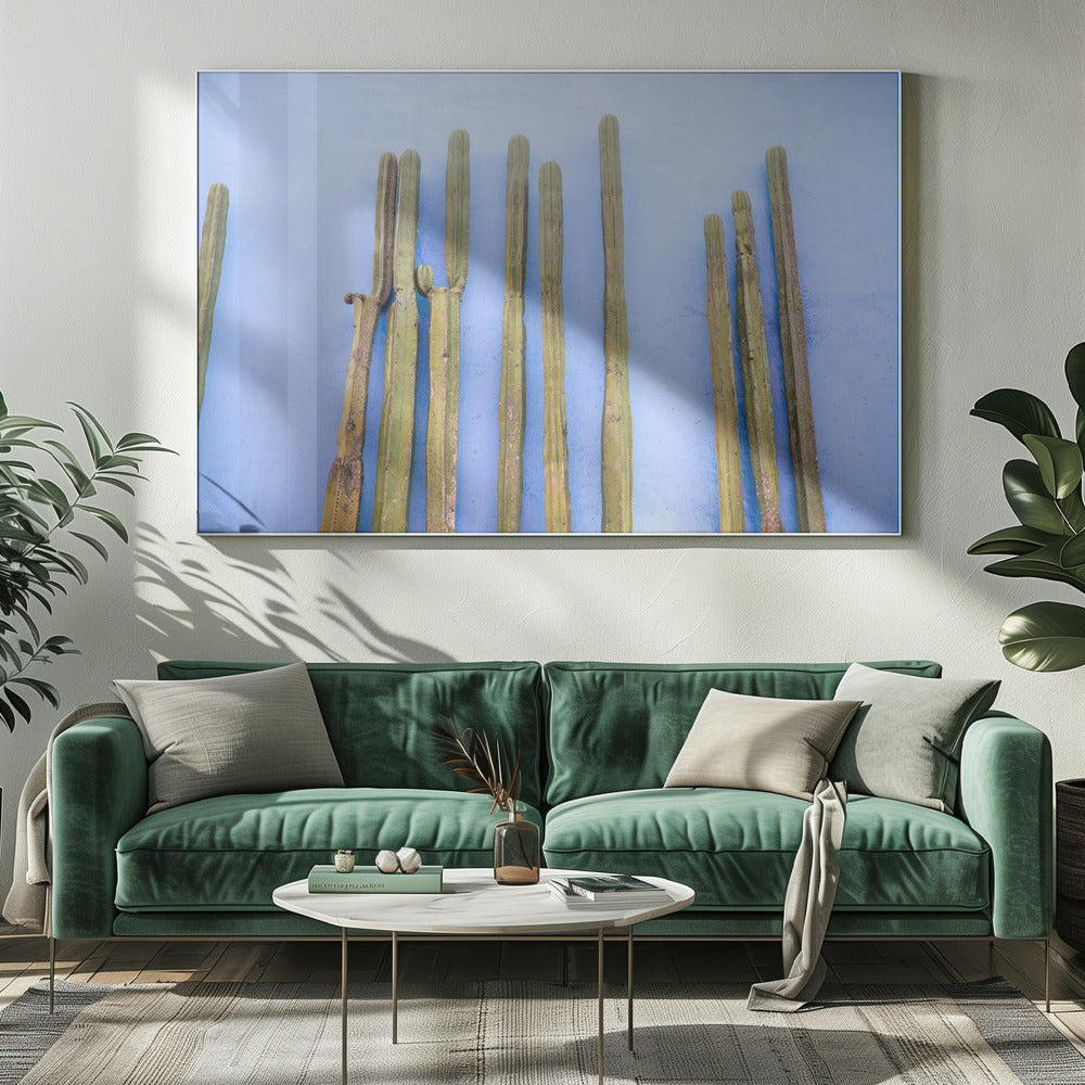 Korkeat kaktukset sinisellä | Oaxaca Meksikon matka | Canvastaulut