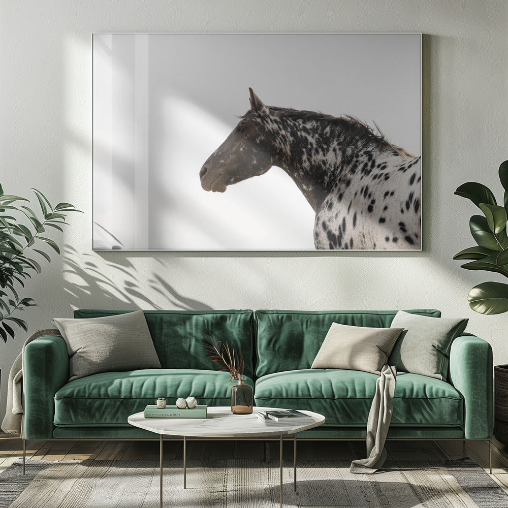 Andromeda 4 | Canvastaulut