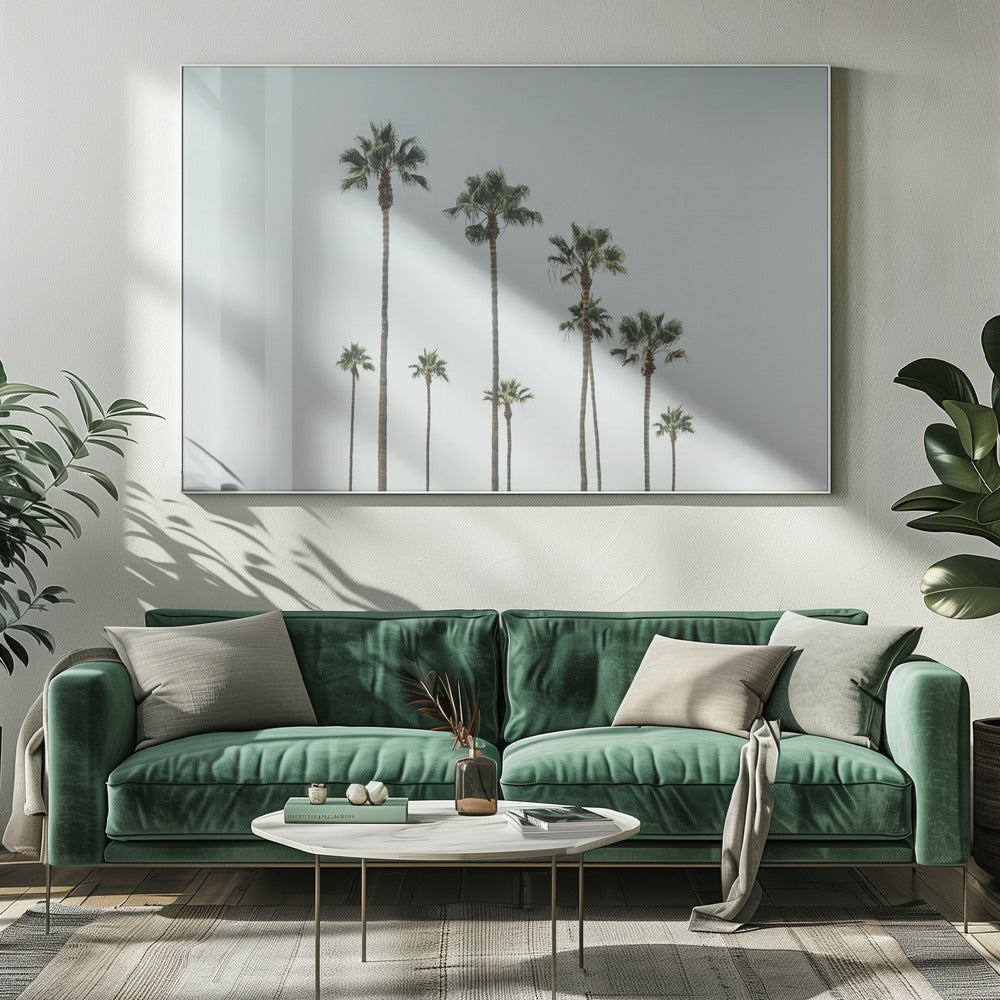 Cali Palms | Leinwand-Bilder