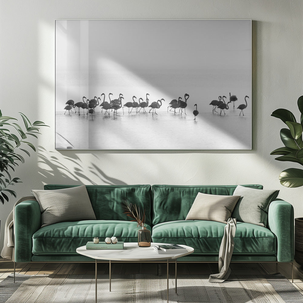 Flamingos | Canvas