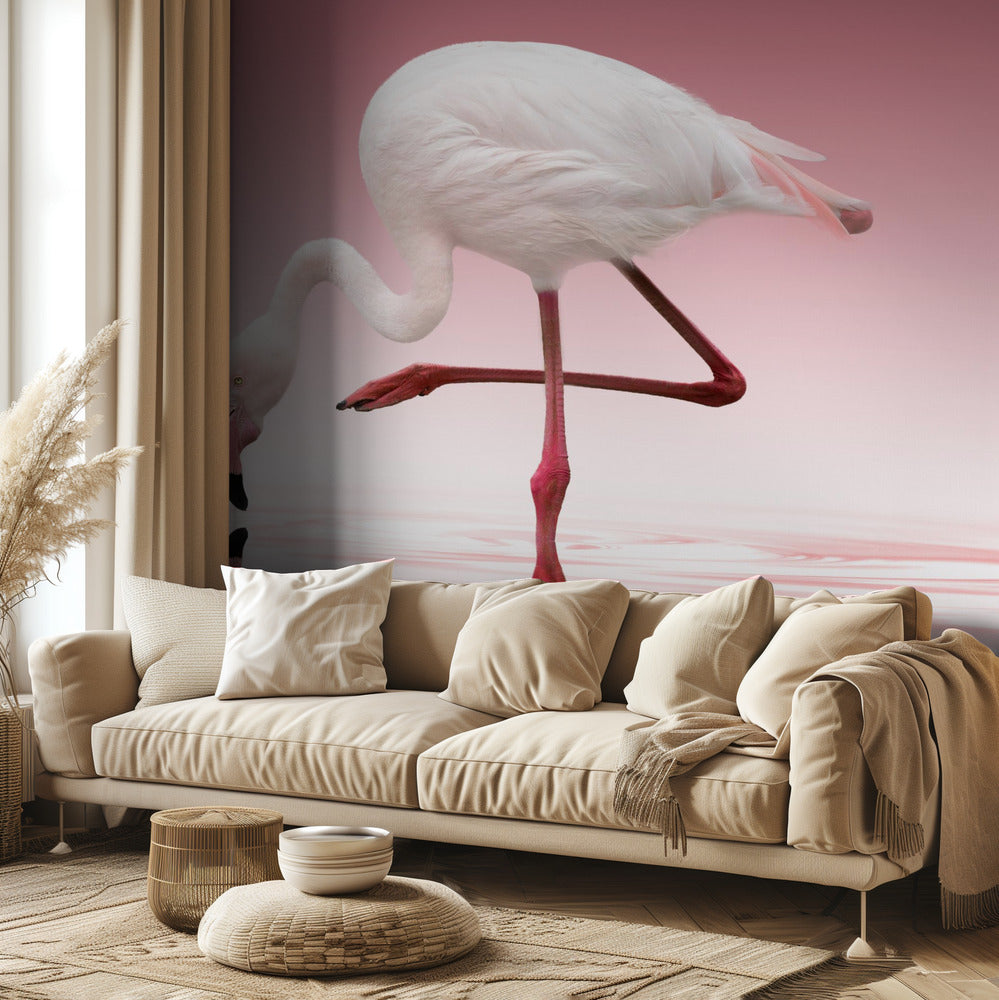 Flamingo | Wallpaper