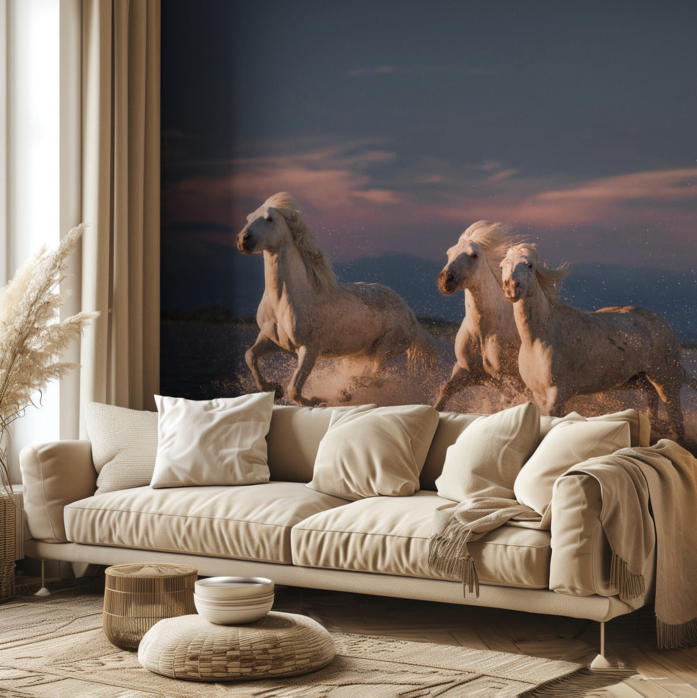 Camarguen enkelit | Valokuvatapetit