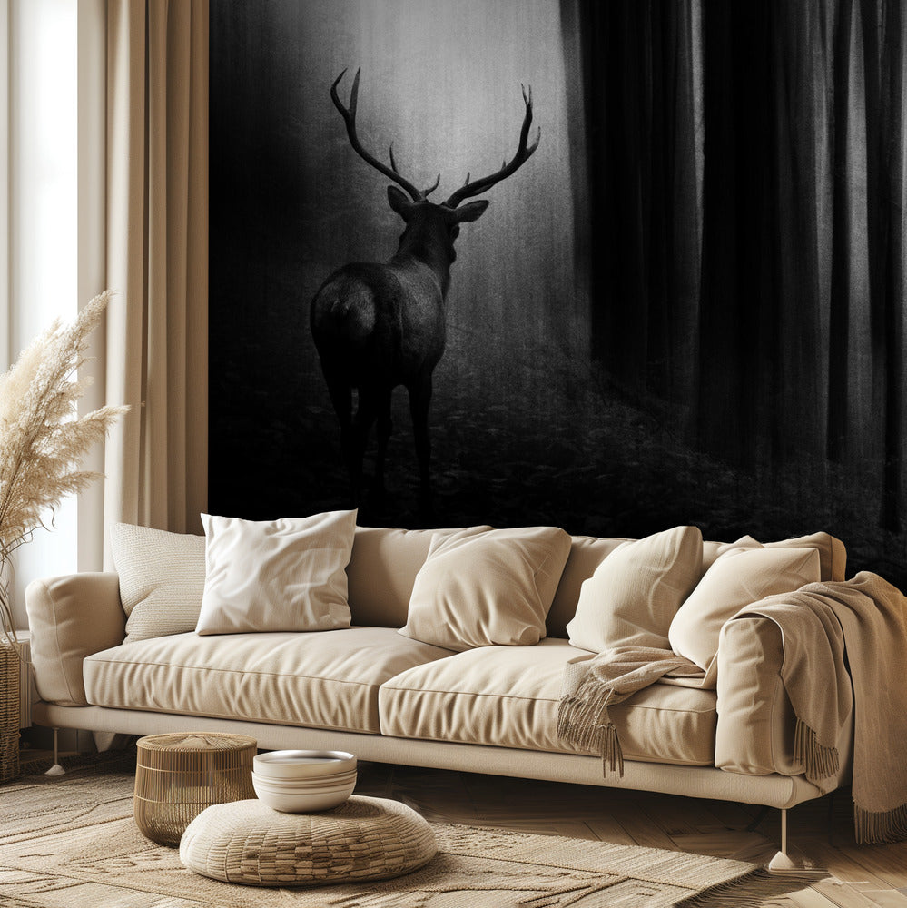 Polttarit | Valokuvatapetit