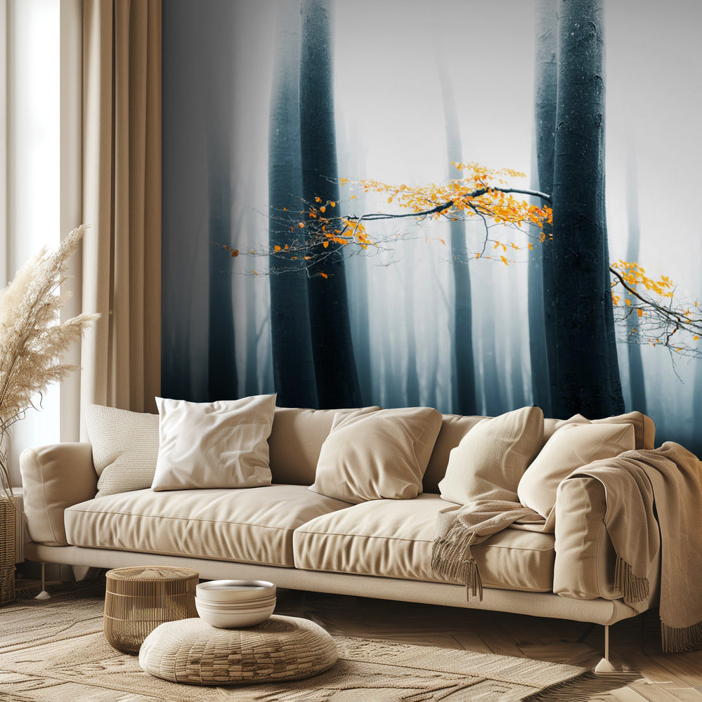 Speulder genbesøgt | Fototapeter