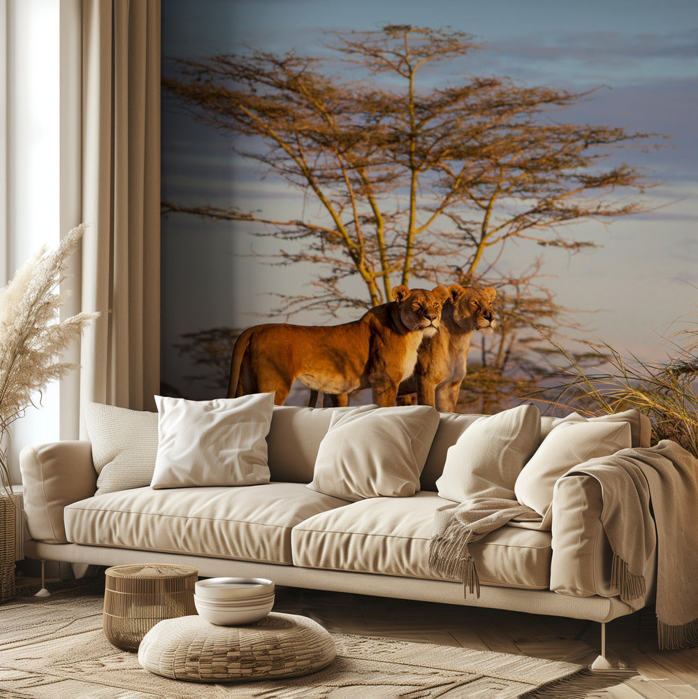 Sisaret | Valokuvatapetit