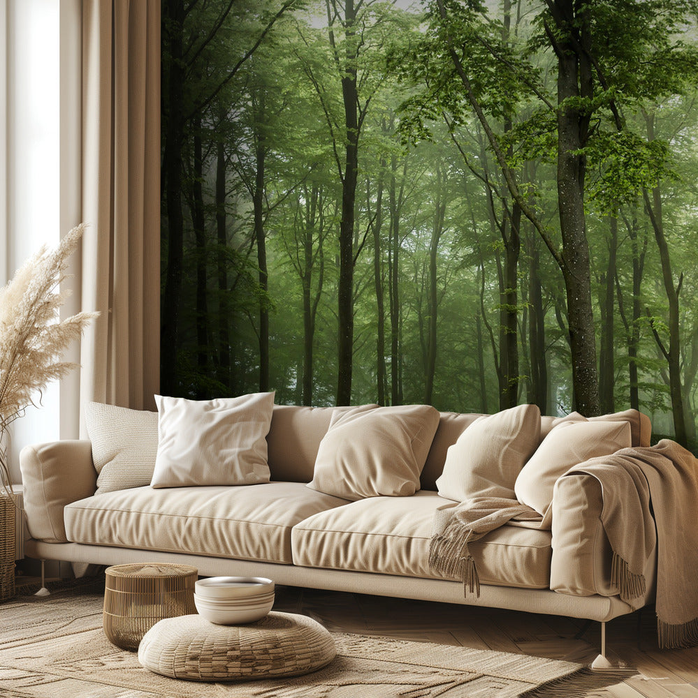 Foresta... | Carta da Parati Fotografica