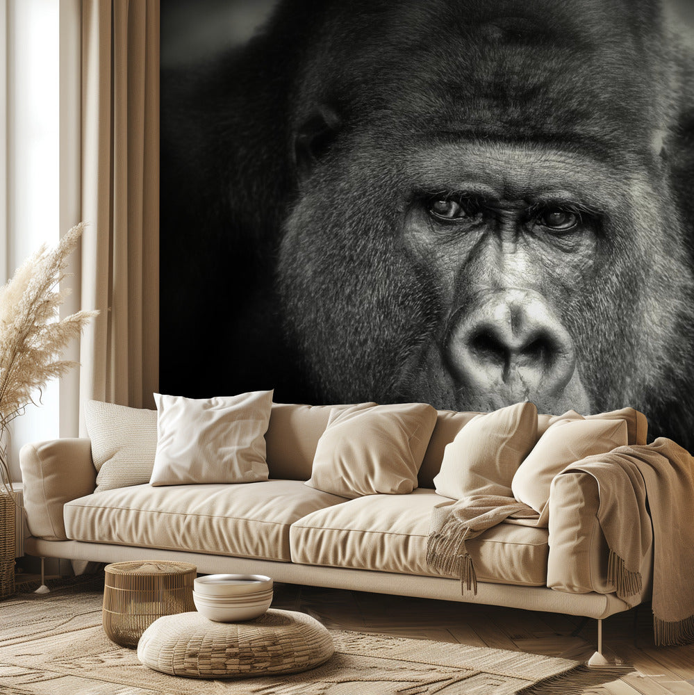 PIENI HYMY .... | Valokuvatapetit