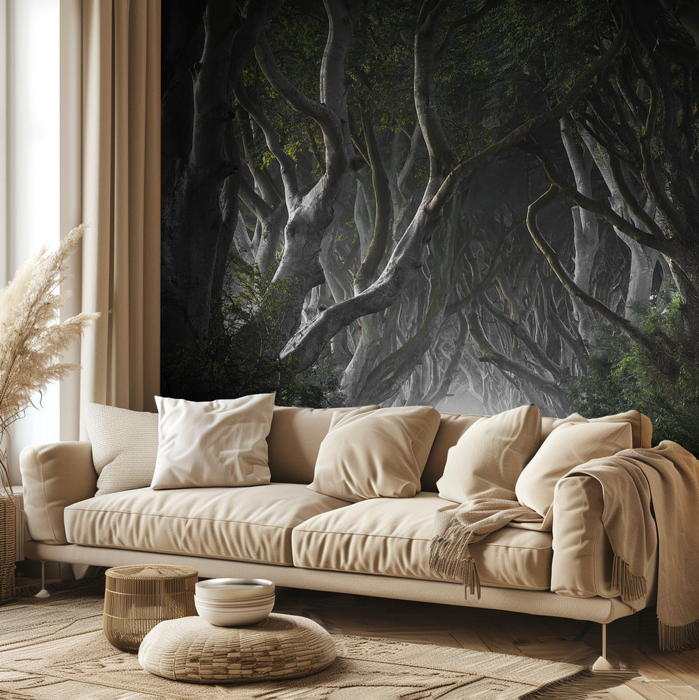 DARK HEDGES | Wallpaper