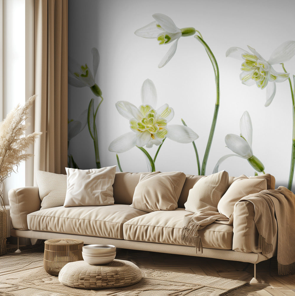 Spring Snowdrops | Wallpaper
