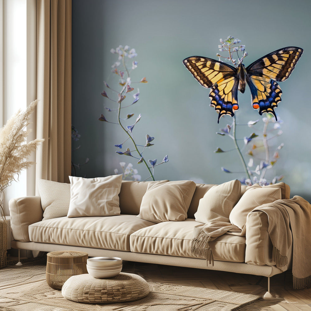 Swallowtail beauty | Wallpaper