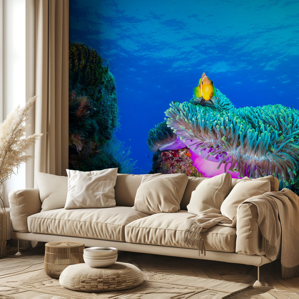 La vie marine | Papier Peint Photo