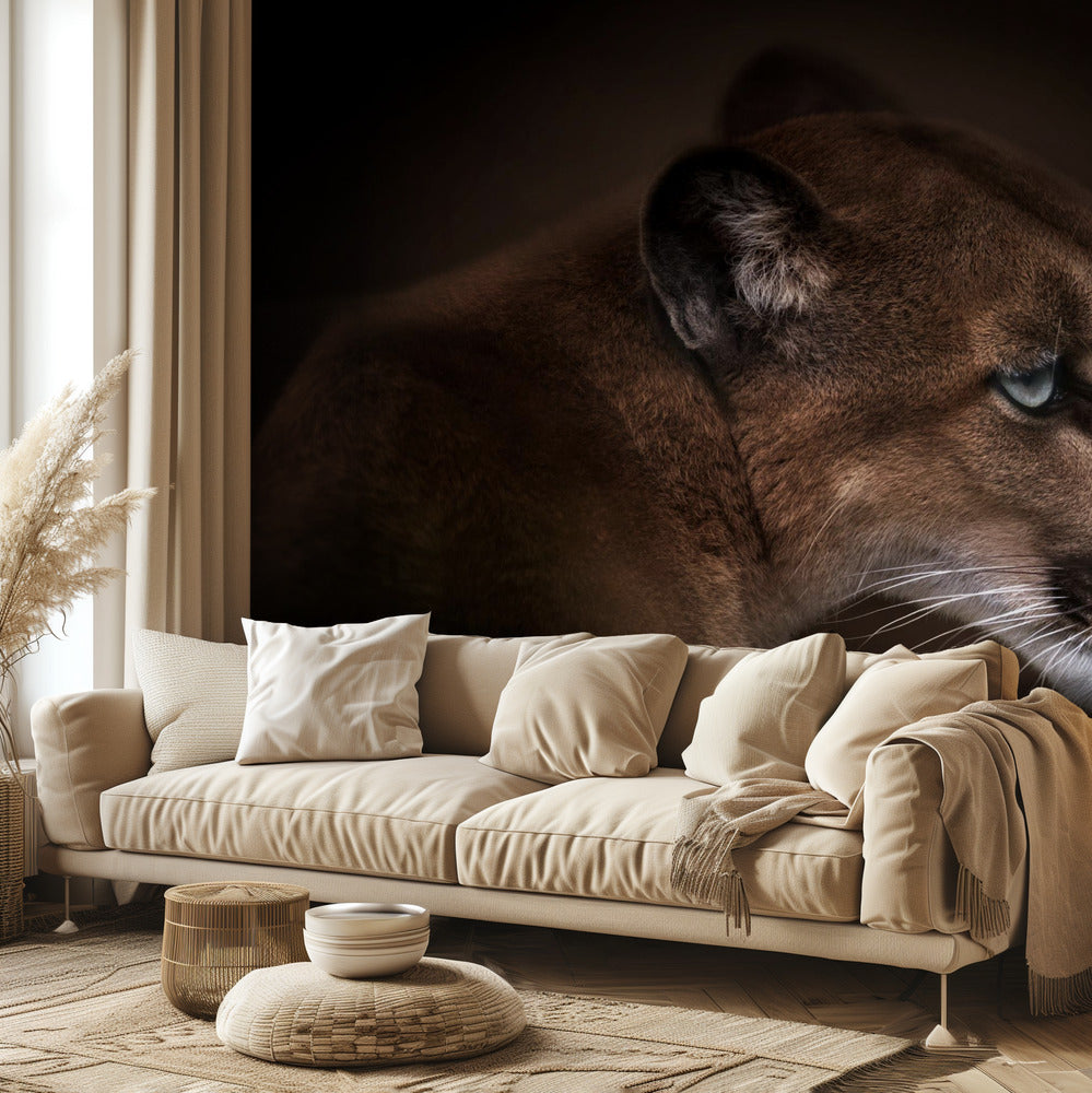 Puuma | Valokuvatapetit