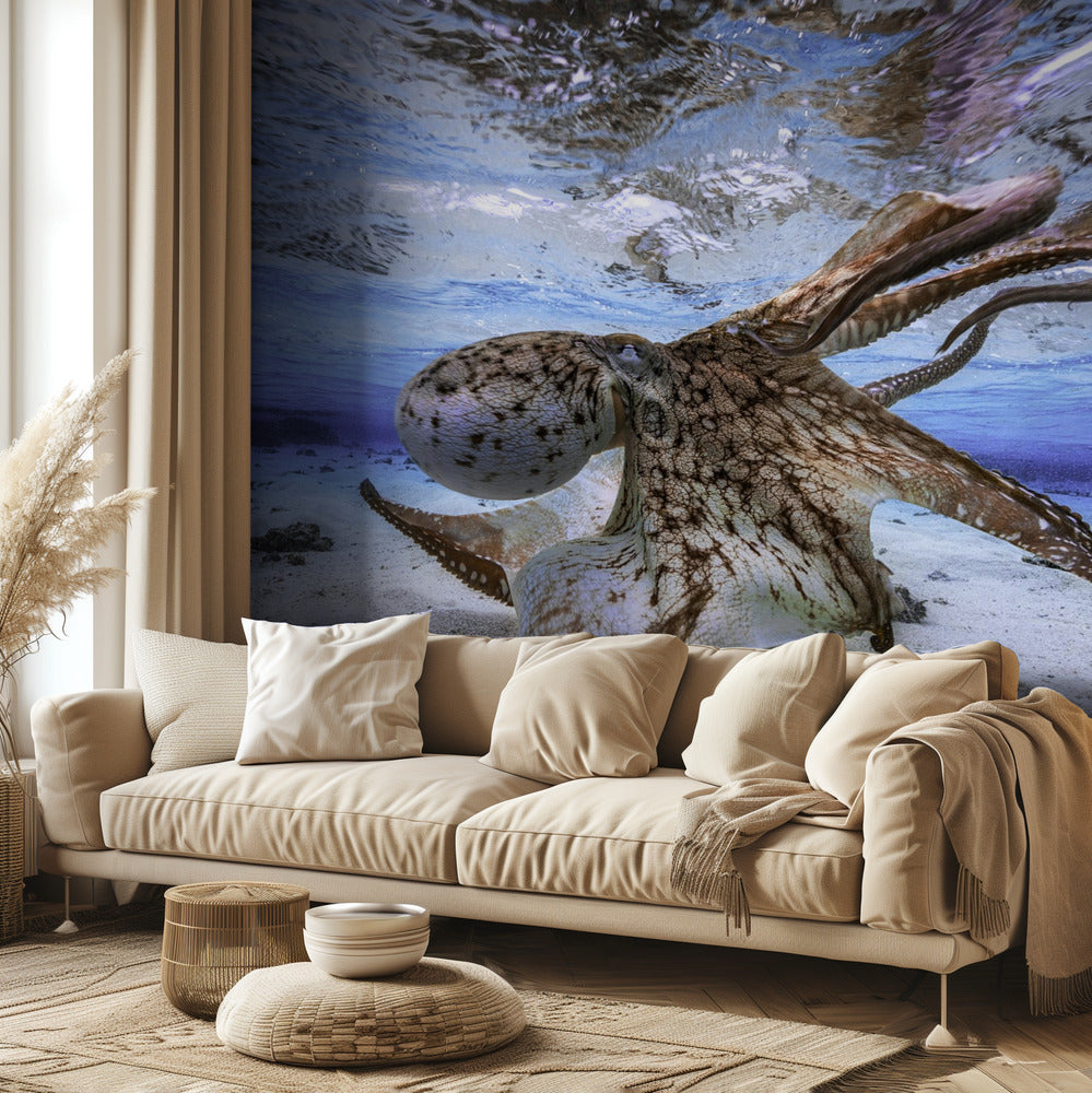 Pulpo bailando | Papel Pintado Fotográfico