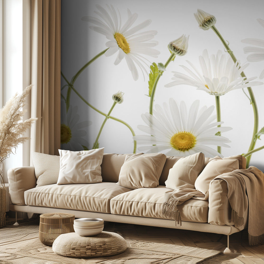 Margaritas de ojo de buey | Papel Pintado Fotográfico