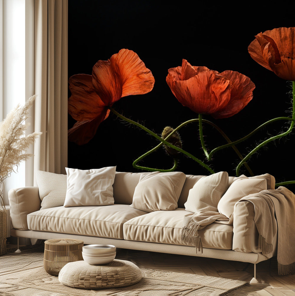 Alrededor de la medianoche #2 | Papel Pintado Fotográfico