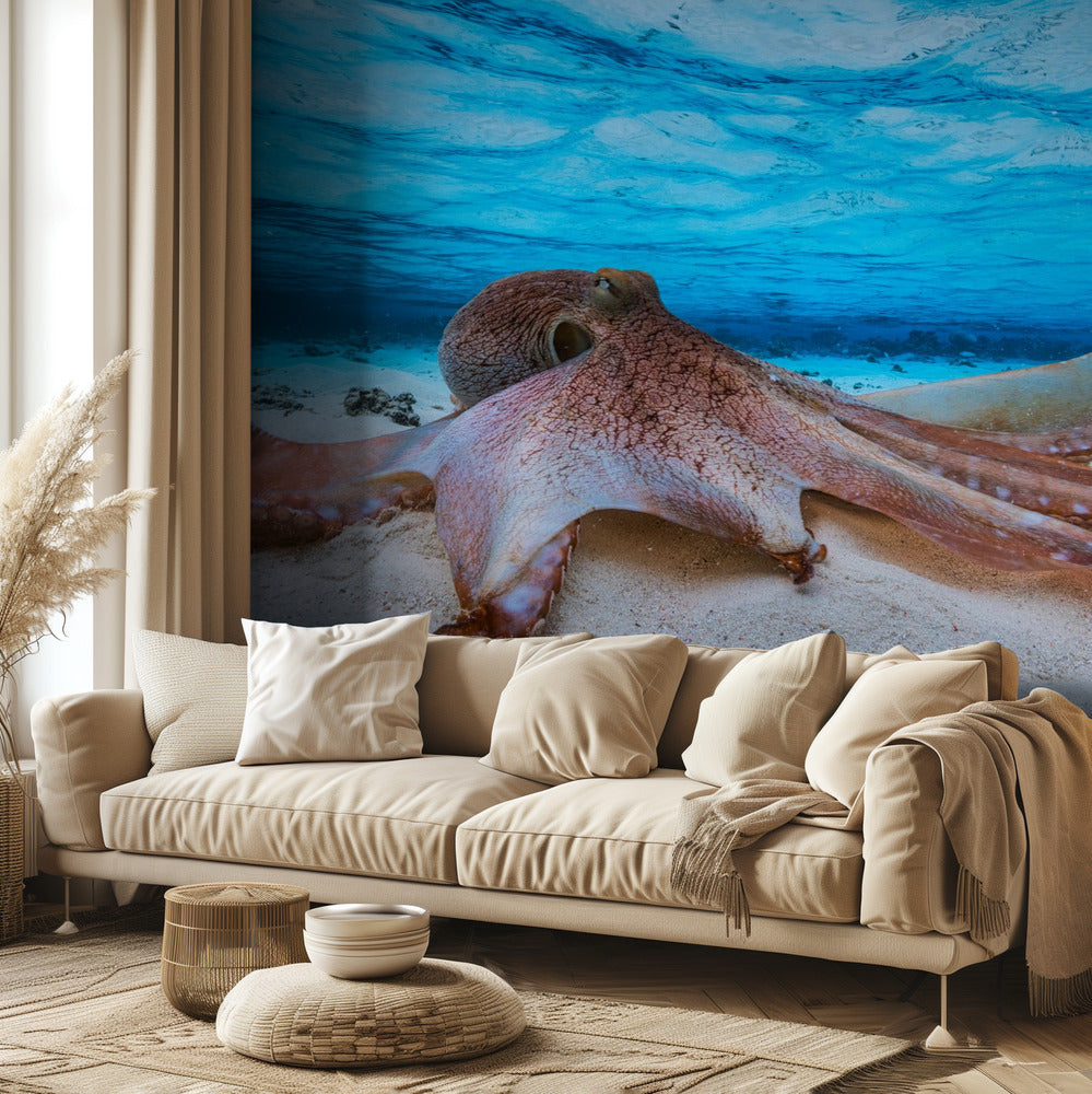 Mustekala | Valokuvatapetit