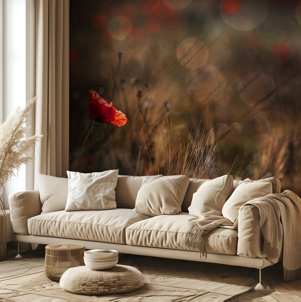 Amapola Papel Pintado Fotográfico