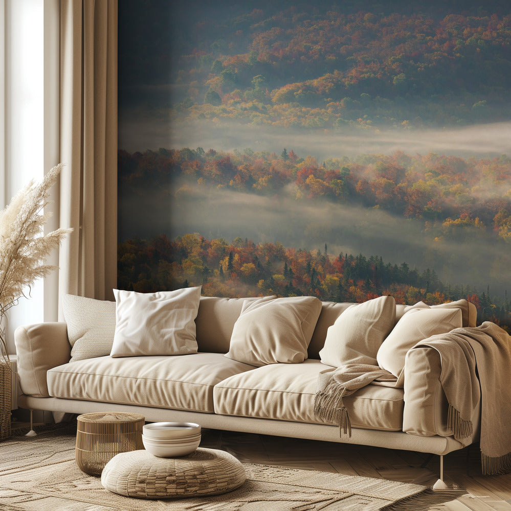 Mattina nebbiosa | Carta da Parati Fotografica