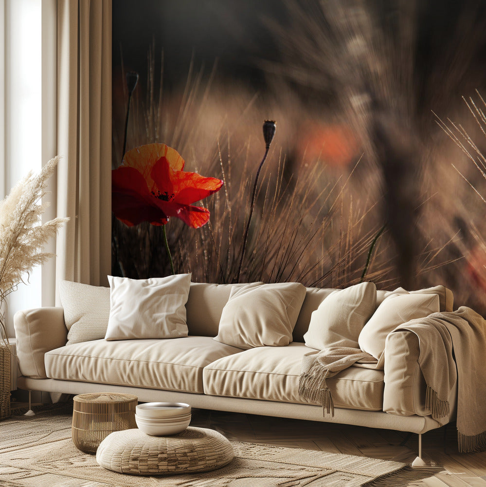 Amapola con maíz | Papel Pintado Fotográfico