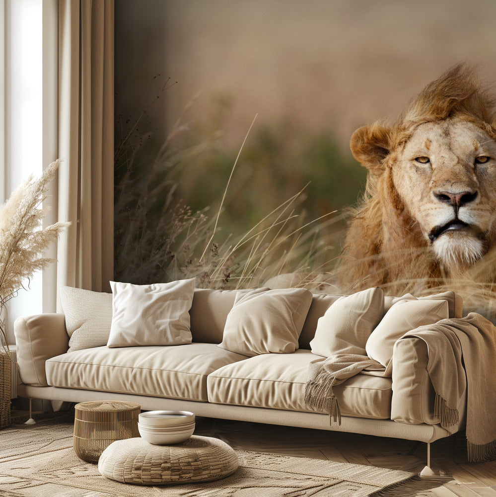 Komea! | Valokuvatapetit