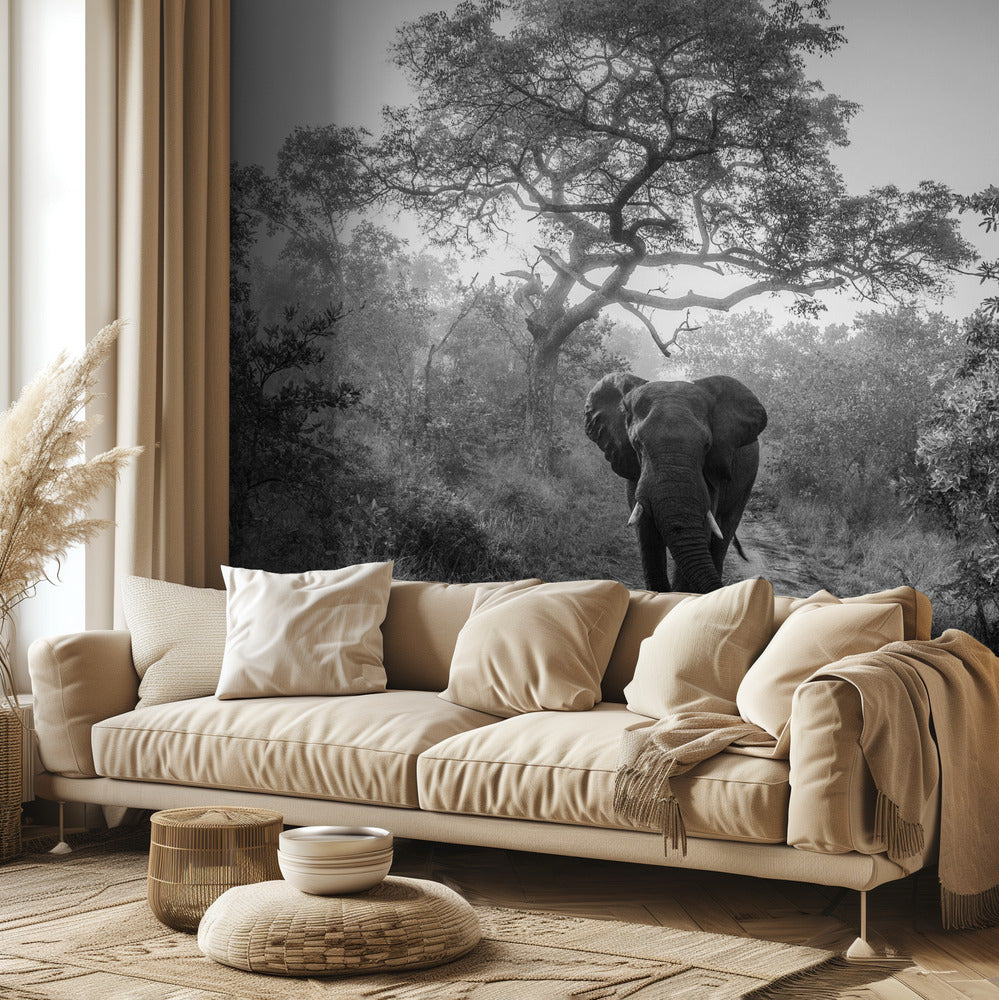 KÄVELEVÄ JÄTTILÄINEN | Valokuvatapetit