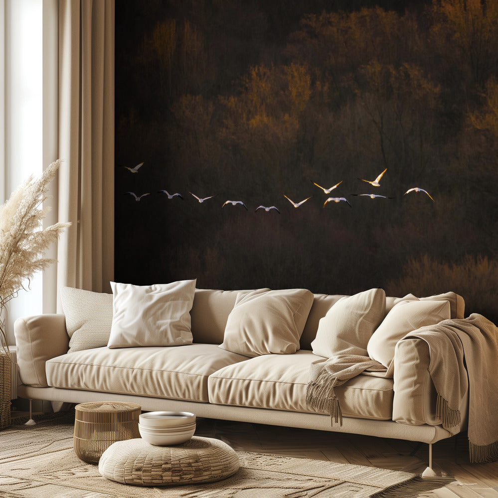 Estado de ánimo matutino | Papel Pintado Fotográfico