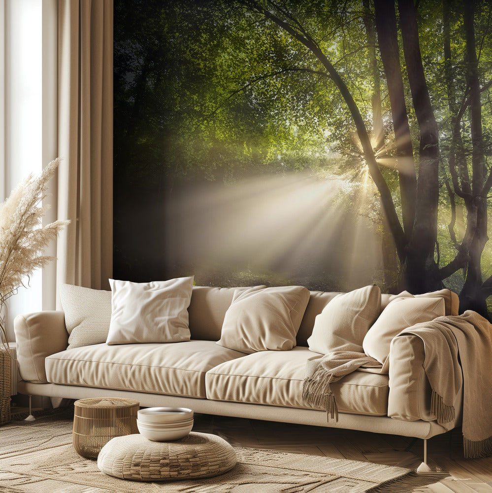 Poranne światło | Fototapeta