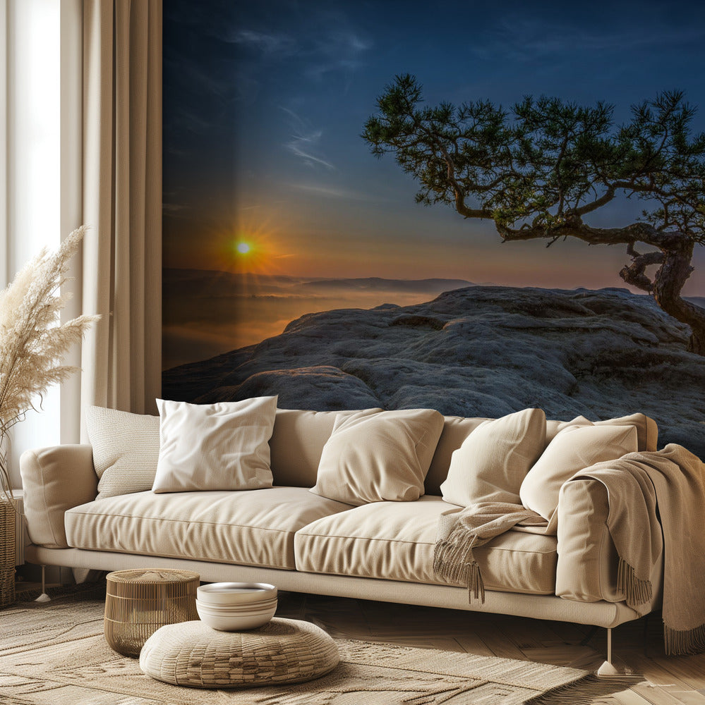 Pino vecchio | Carta da Parati Fotografica