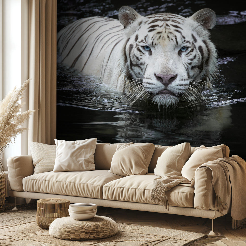 Katson minua Katson sinua | Valokuvatapetit