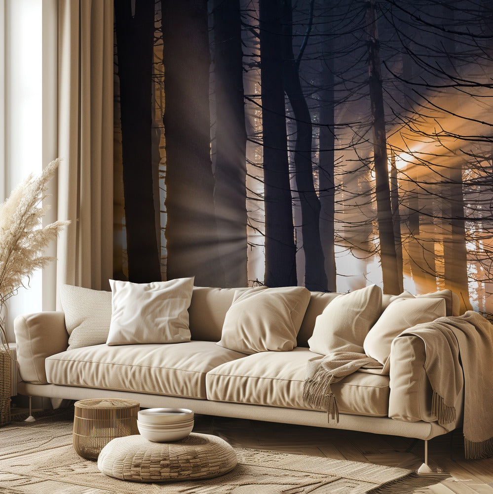 Metsä | Valokuvatapetit