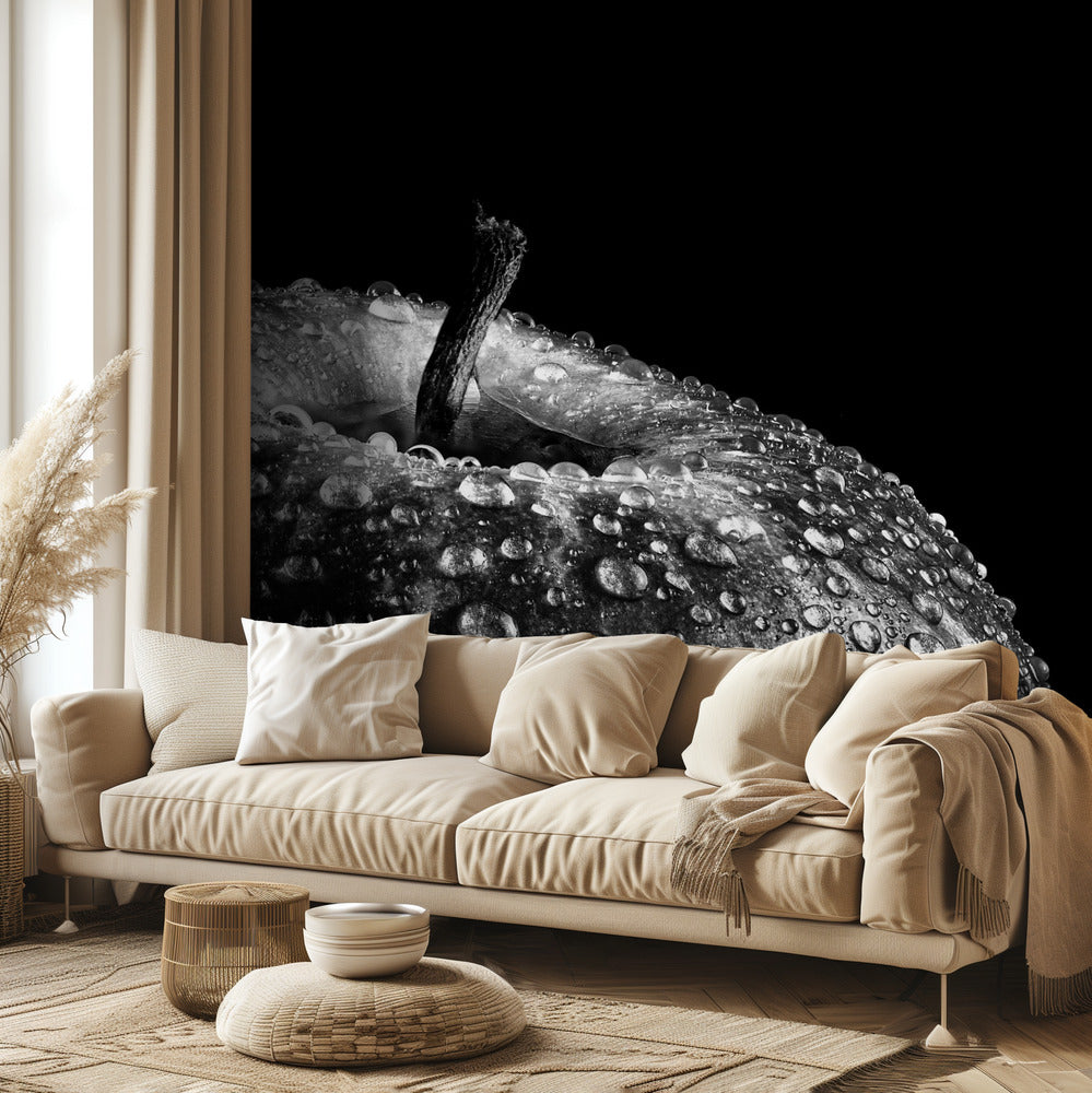 puhelu | Valokuvatapetit