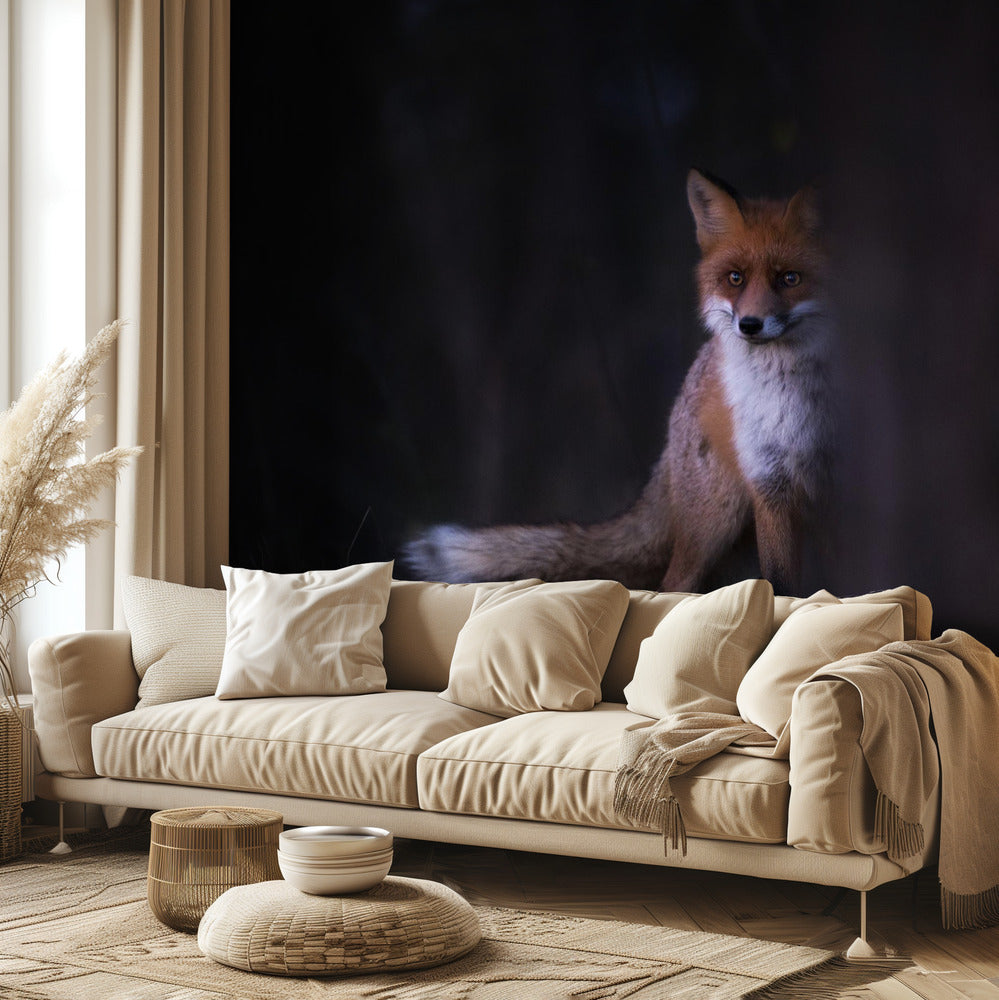 Miradas | Papel Pintado Fotográfico