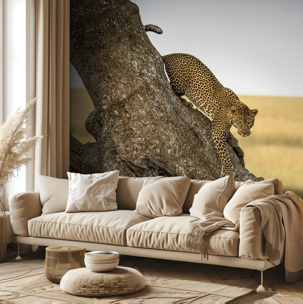 Leopard - Serengheti, Tanzania | Wallpaper