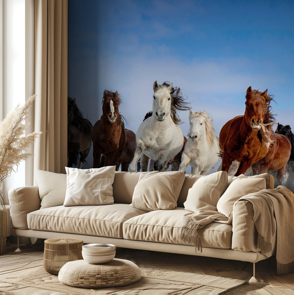 Mongolian hevoset | Valokuvatapetit