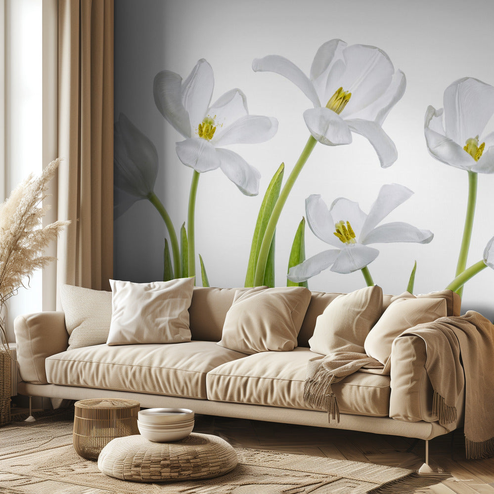 White Tulips | Wallpaper