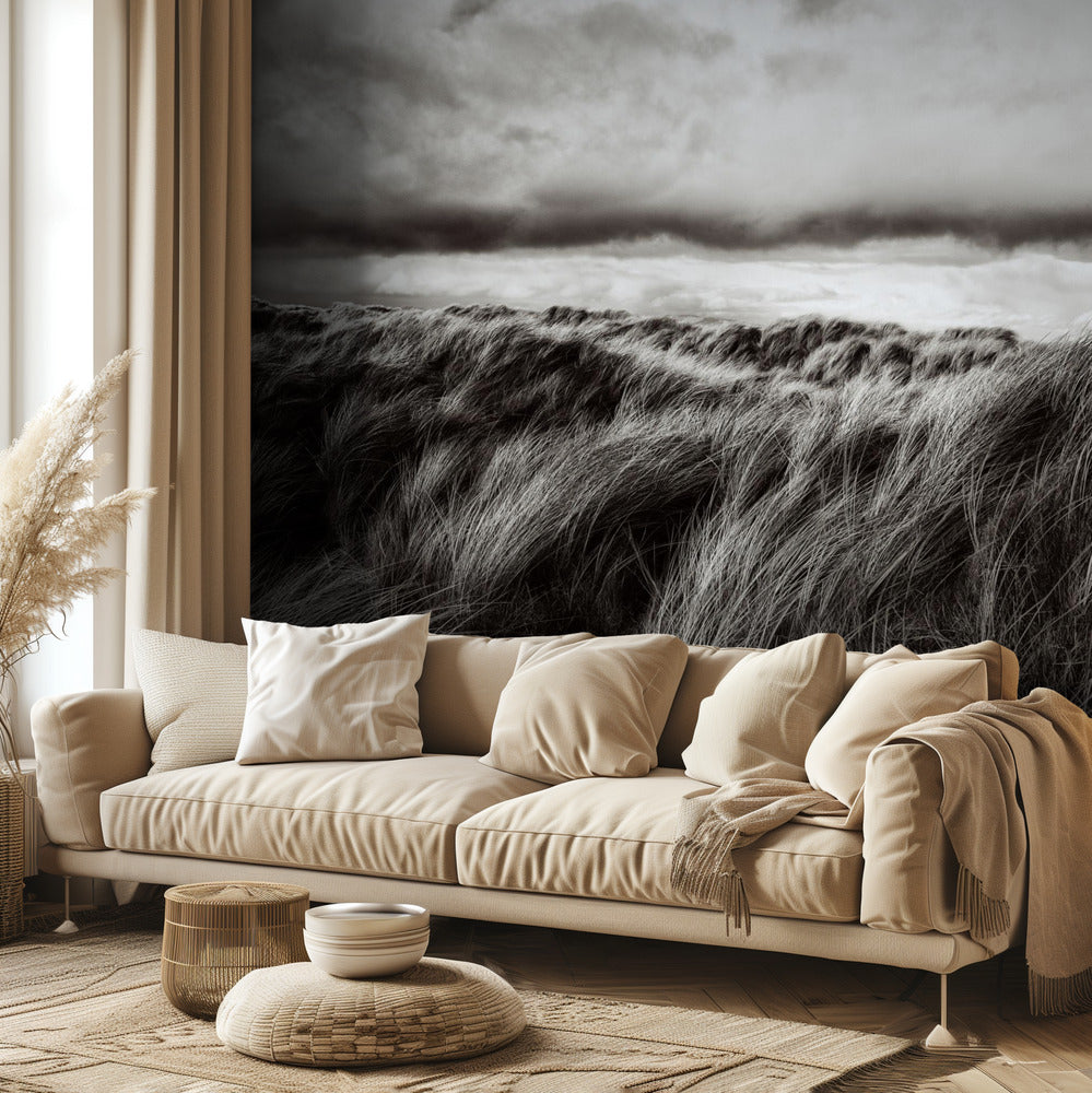 Dunes of grass | Wallpaper