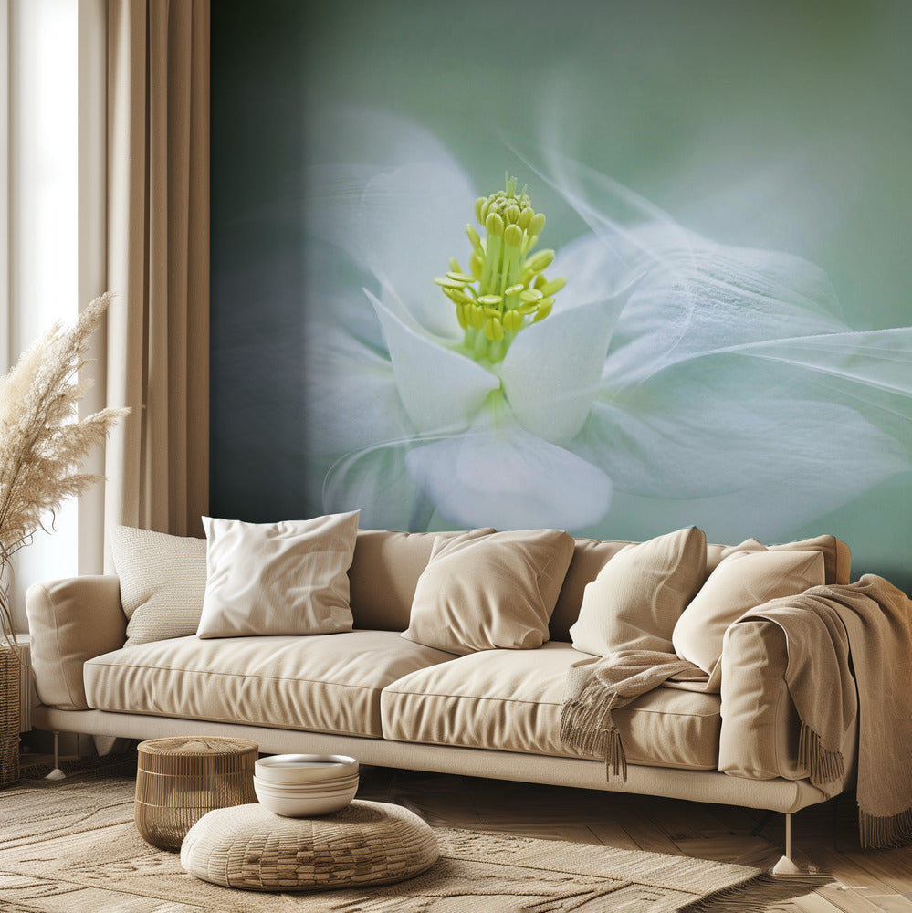 Místico | Papel Pintado Fotográfico