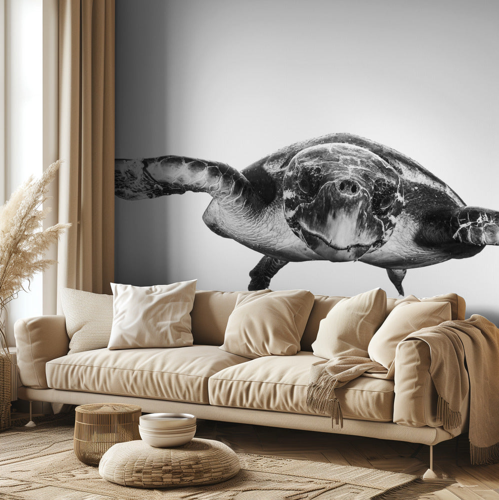 Blanco y tortuga | Papel Pintado Fotográfico