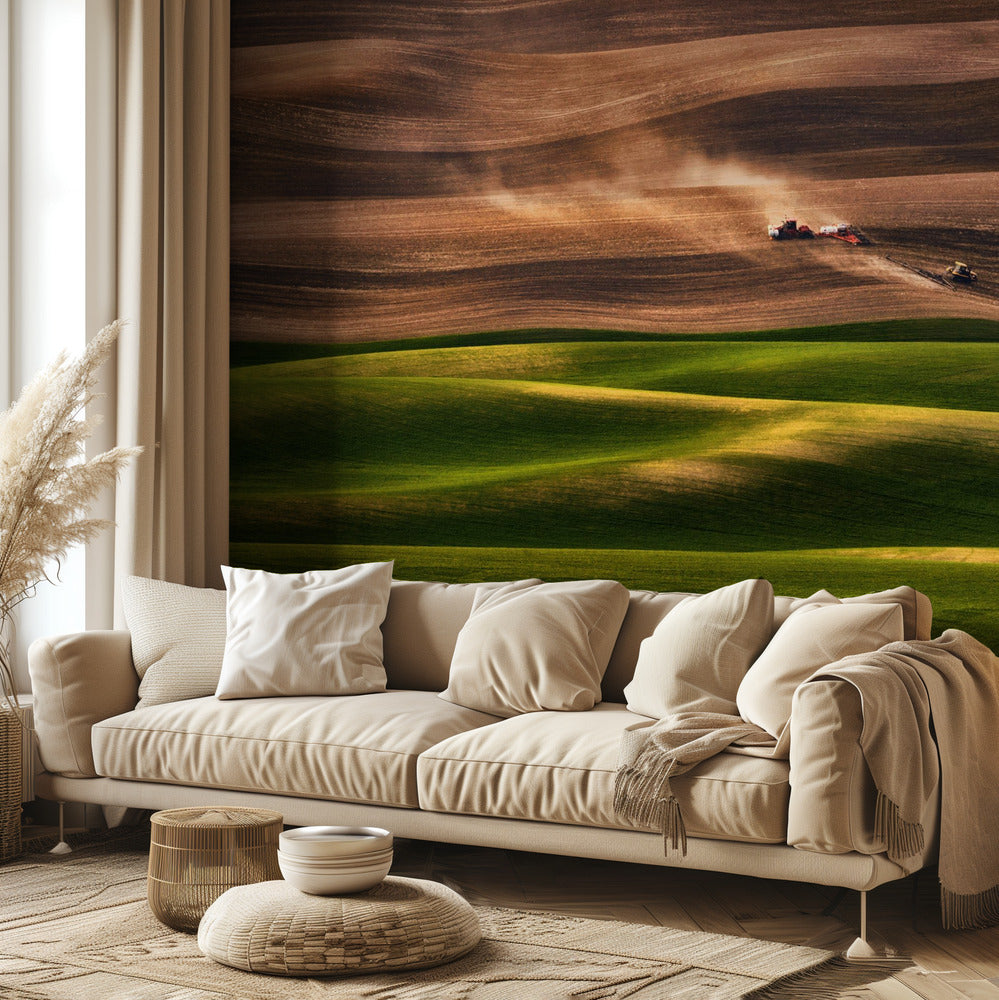Terreno agricolo | Carta da Parati Fotografica