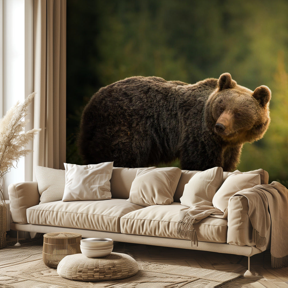 Oso retroiluminado | Papel Pintado Fotográfico